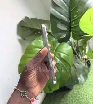 Apple iPhone 16 Pro 256 GB Silver