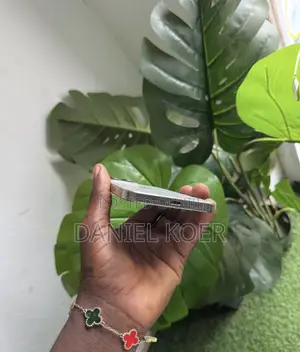 Apple iPhone 16 Pro 256 GB Silver