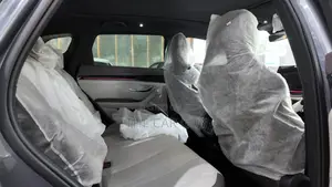 New BYD Song Plus 2025 Gray