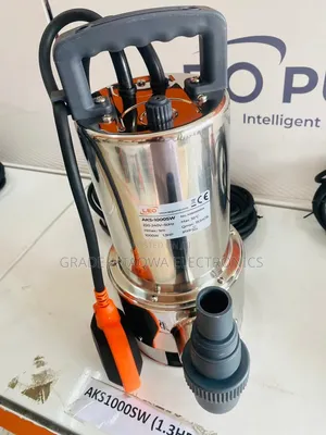 Leo AKS-1000SW Stainless Submersible Pump