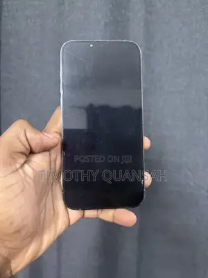 Apple iPhone 13 Pro Max 256 GB Gray