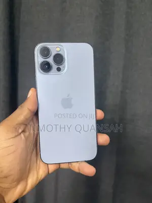 Apple iPhone 13 Pro Max 256 GB Gray
