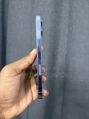 Apple iPhone 13 Pro Max 256 GB Gray