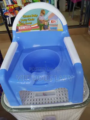 Kids Potty Training Ladders and Seats