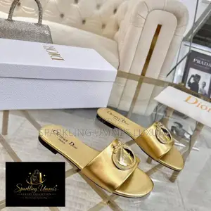 Premium High-Grade Christian Dior Médaillon Buckle Slides