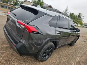 Toyota RAV4 TRD Off Road AWD 2020 Gray