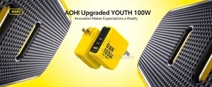 Aohi 100watt Youth Charger