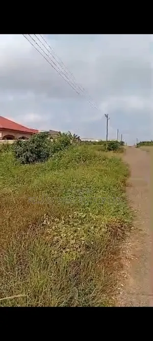 100x80ft Plot at Tema Comm 24 Palm Ridge Estate for Sale