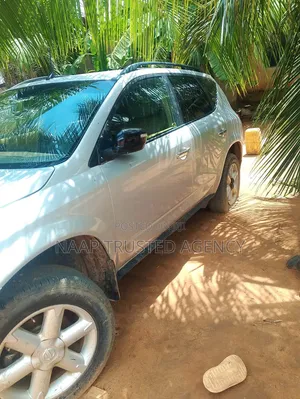 Nissan Murano 2007 Gray