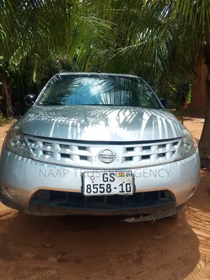 Nissan Murano 2007 Gray