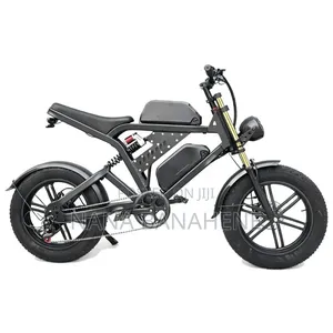 Brand New Dual Batteries Electric Bike 48V