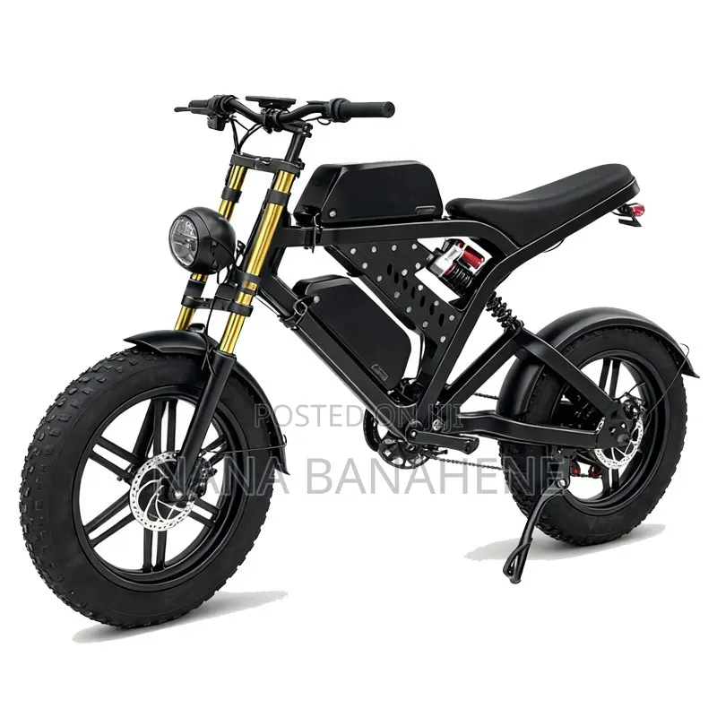 Brand New Dual Batteries Electric Bike 48V