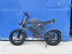 Brand New Dual Batteries Electric Bike 48V