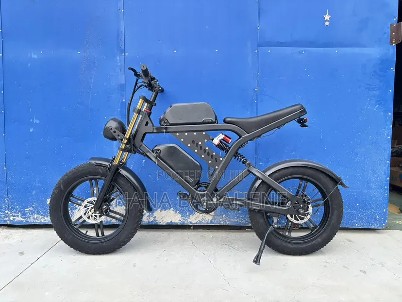 Brand New Dual Batteries Electric Bike 48V