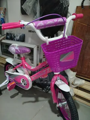 This Is Original Bicycle for Kids
