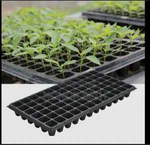 Seed Trays
