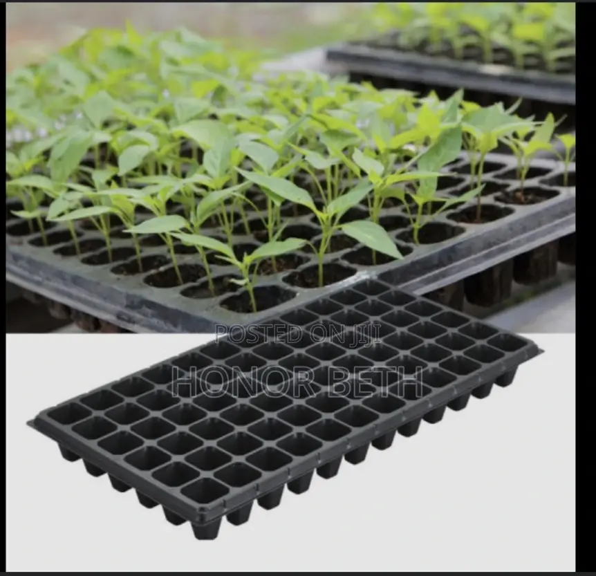 Seed Trays