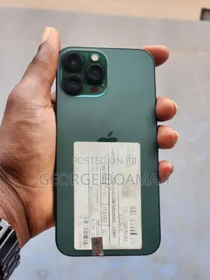 Apple iPhone 13 Pro Max 256 GB Green