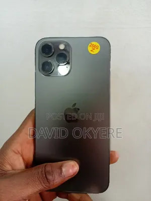 Apple iPhone 12 Pro 256 GB Gray