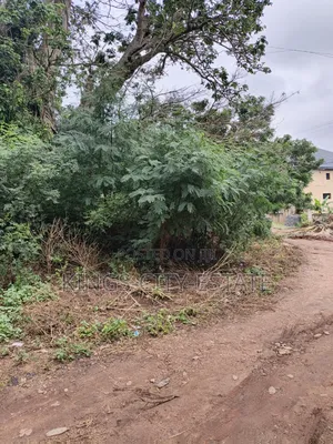 1 Plot of Land for Sale at Pokuase Ayawaso
