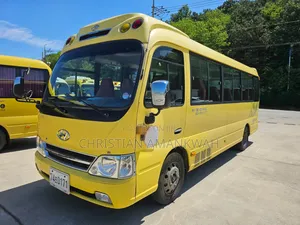 New Hyundai County 2011 Yellow