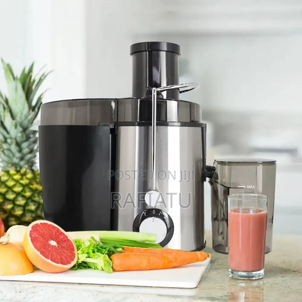 Raf Electric Juice Extractor
