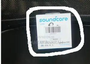 Anker Soundcore P30i Earbuds