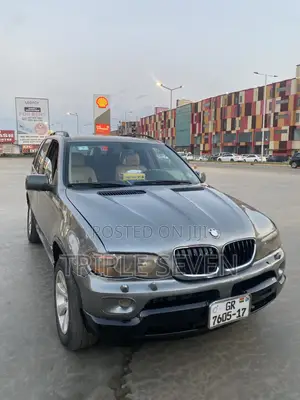 BMW X5 3.0i Sports Activity 2006 Gray