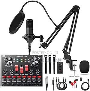 Professional Condenser Microphone