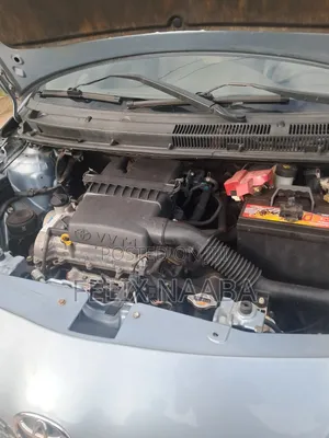 Toyota Belta 2010 Gray