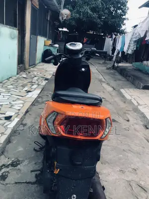 Daelim 2025 Orange