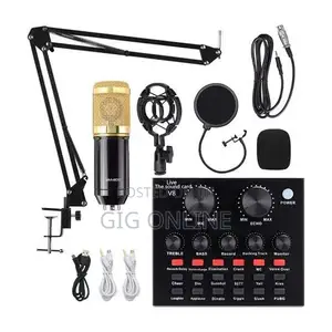 Professional Recording Condenser Microphone