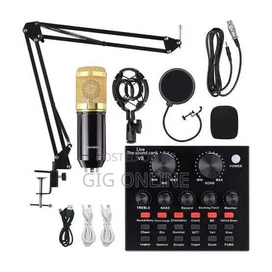 Professional Recording Condenser Microphone