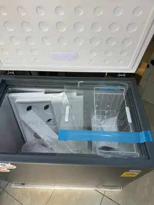 Nasco Wholesale Price 251l Chest Freezer, Energy Saving