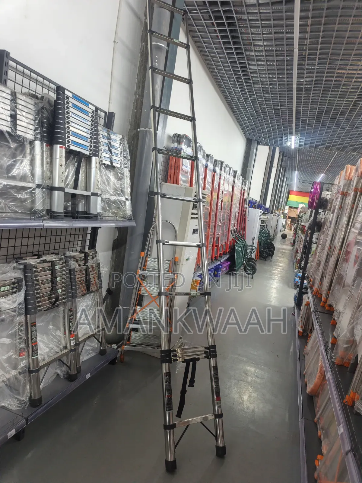 Telescoping Extension Ladder