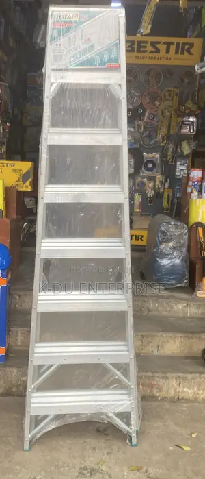 Double Side Ladder 2x8