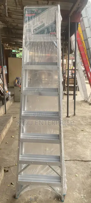 Double Side Ladder 2x8