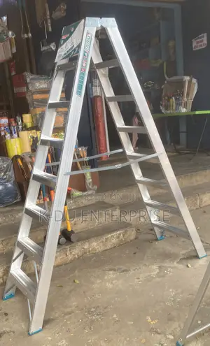 Double Side Ladder 2x8