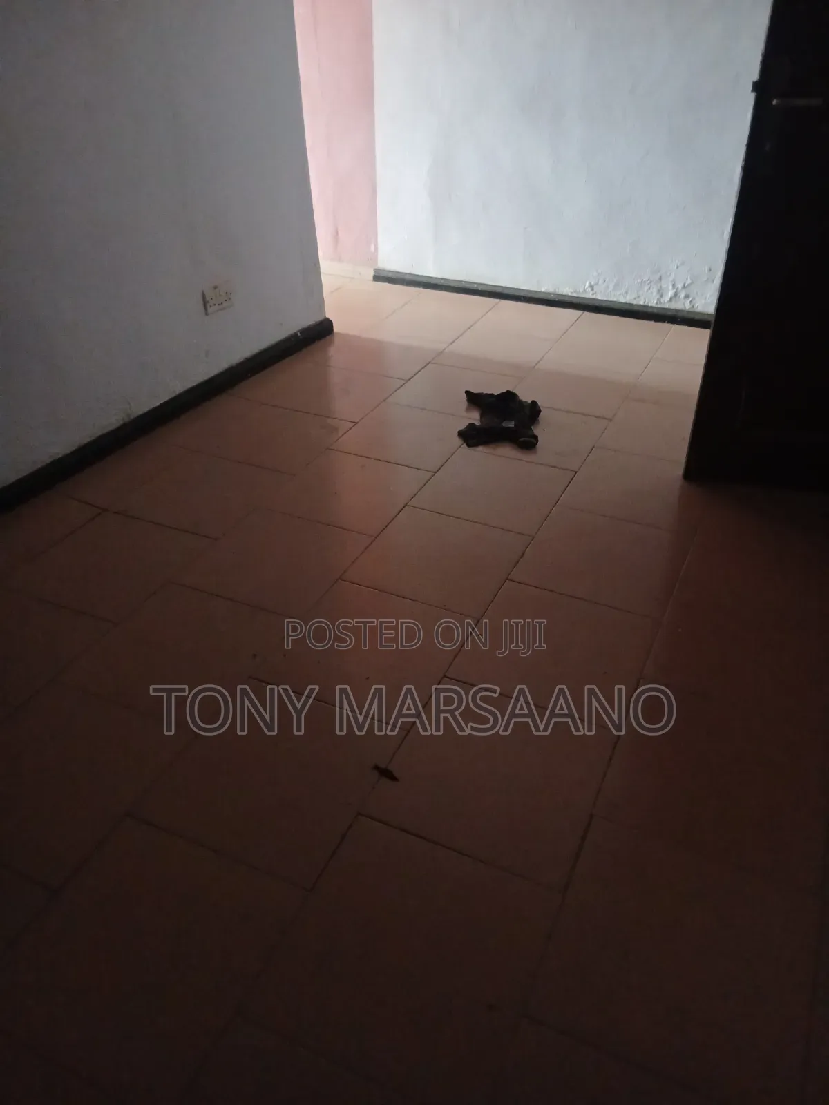 1bdrm Apartment in Haatso, Papao for rent