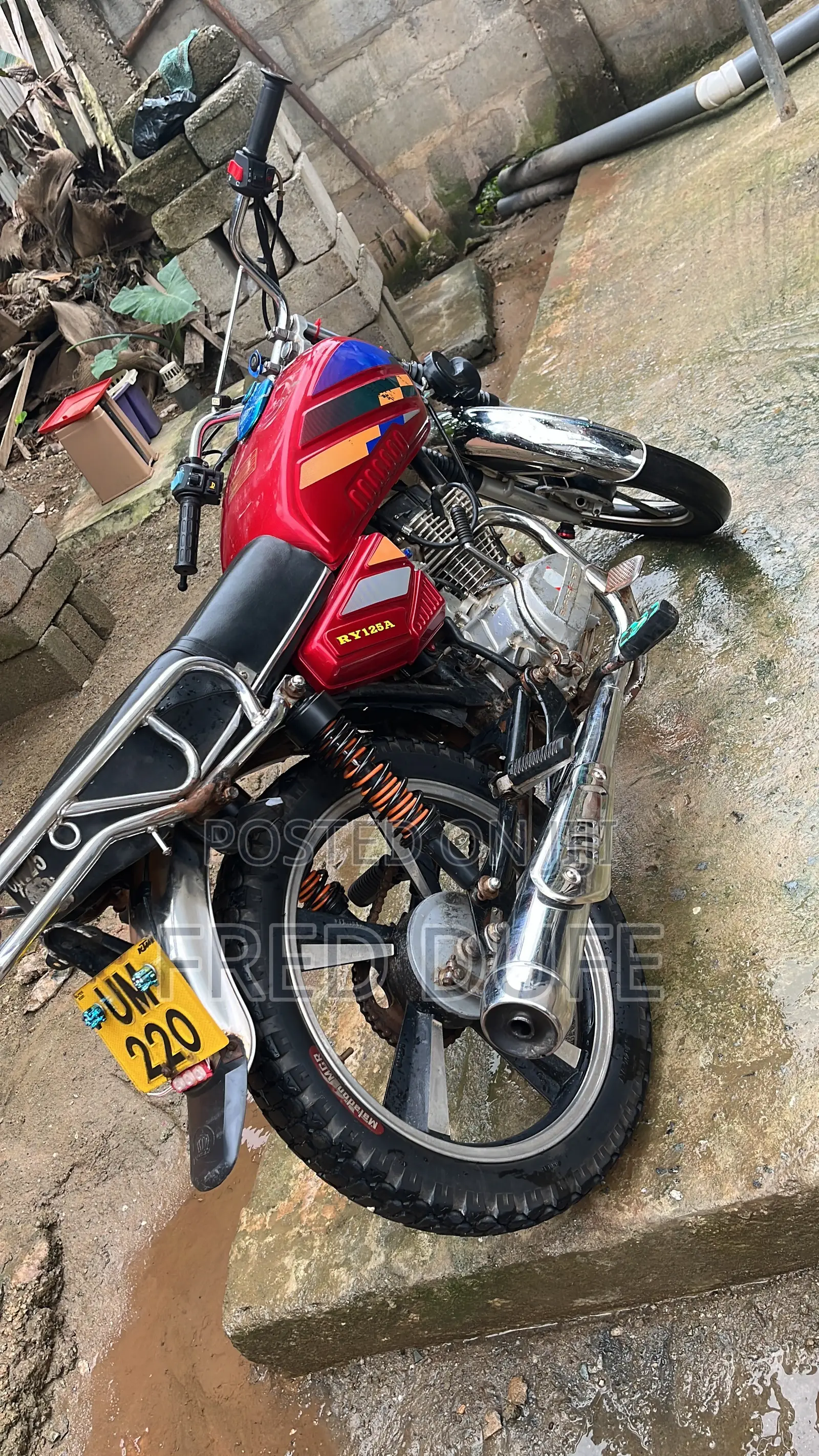 Royal RY125 2024 Red