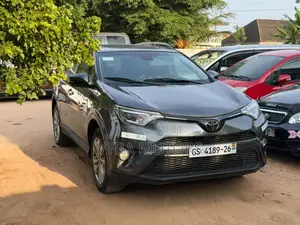 Toyota RAV4 Limited AWD (2.5L 4cyl 6A) 2016 Gray