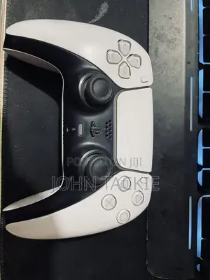 PS5 Controller