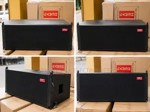 Heavy Dual 12 Inches Line Array