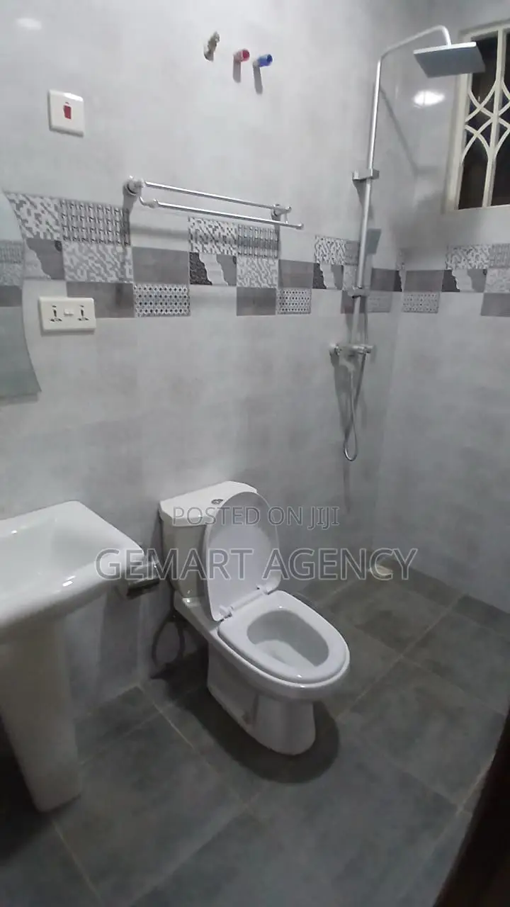 Furnished 1bdrm Apartment in Haatso Dvla Bohye for rent