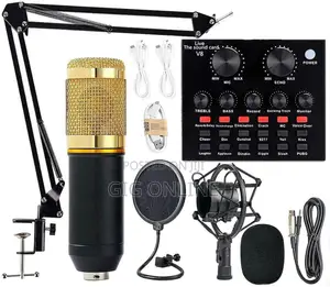 Studio Condenser Microphone