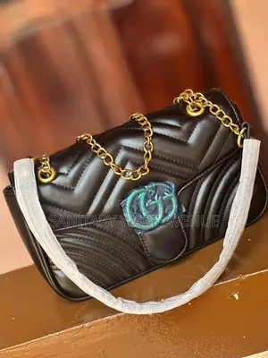 Gucci Bag _ Ladies Bag