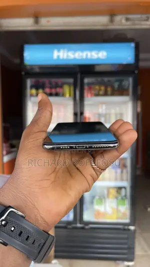 Apple iPhone 11 Pro Max 256 GB Gray