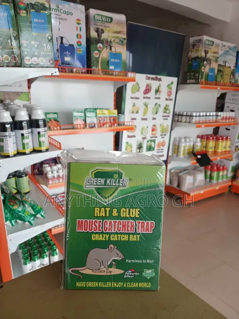 Green Catch ( Rat and Glue)