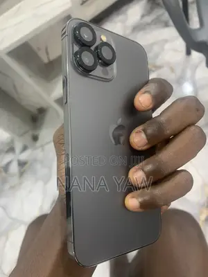 Apple iPhone 13 Pro Max 128 GB Gray
