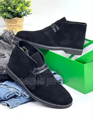 Original Clarks Dessert Boots in Colours